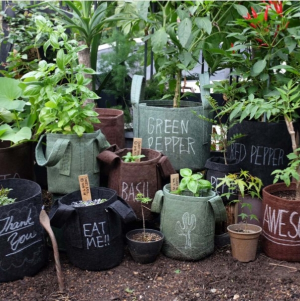 Root Pouch Urban Gardening